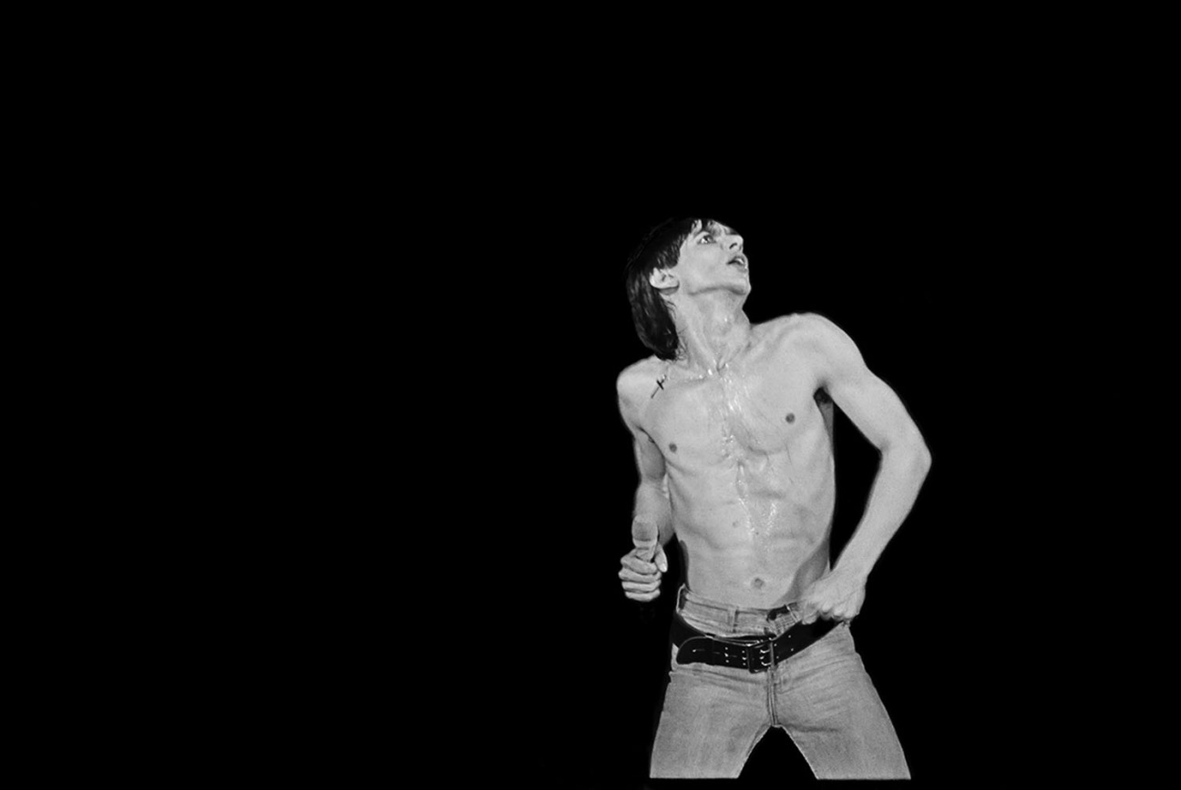 iggy-pop-james-hamilton